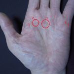 社長の手相をチェック！