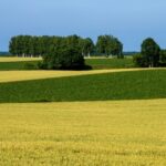 夏本前に見直したい！立ち仕事の「むくみ・疲れ」ケア✨