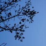 そのひと言で変わる印象✨繁忙期の売場で大切にしたい表情と所作😊