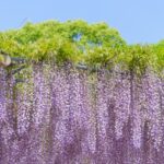忙しくなる前に整えたい！接客の仕事と自分のコンディション✨